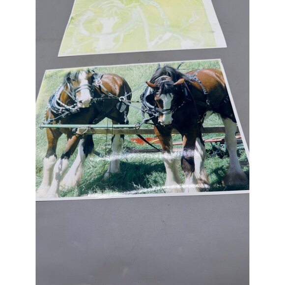 Vintage Horse Team Photos 2-Piece Set art wagon hitch 11X8.5" READ - Picture 4 of 7